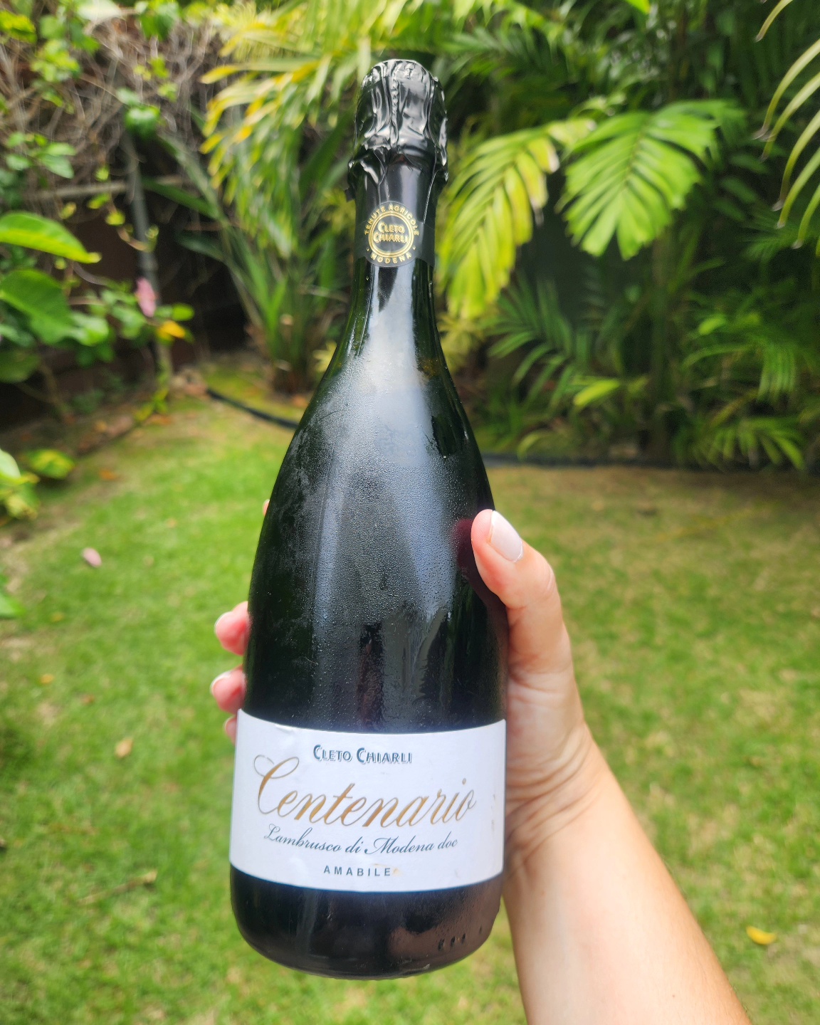 June Featured Wine: Cleto Chiarli Lambrusco